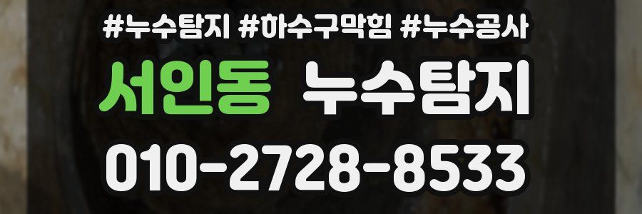 서인동 누수탐지업체