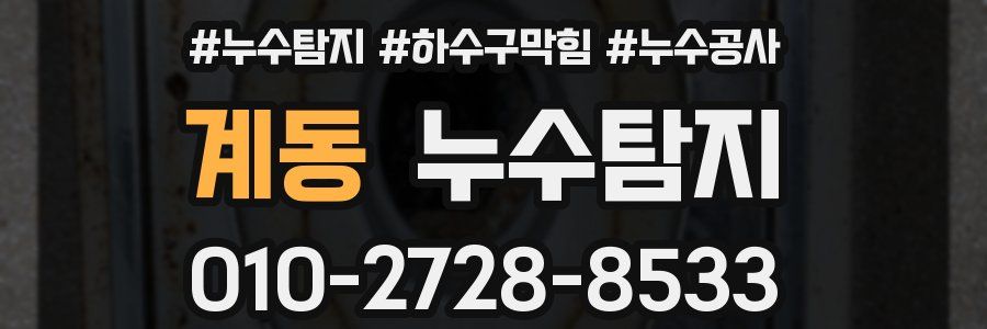 계동 누수탐지업체