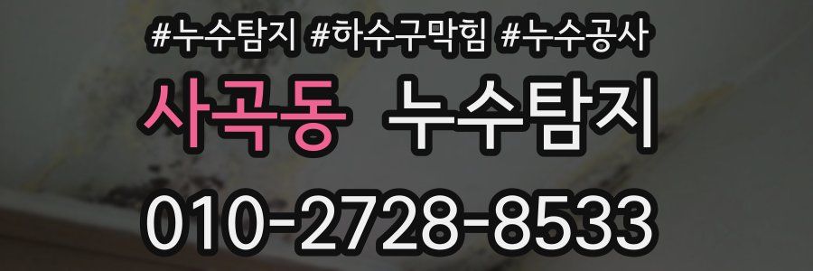 사곡동 누수탐지업체