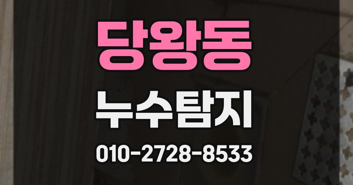 당왕동 누수공사