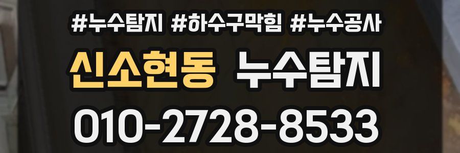 신소현동 누수탐지업체