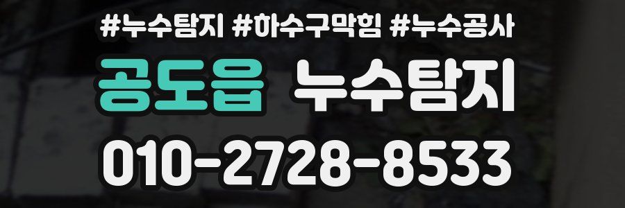 공도읍 누수탐지업체