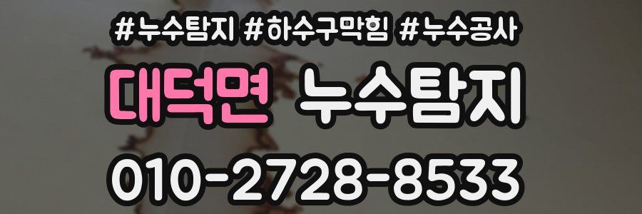 대덕면 누수탐지업체