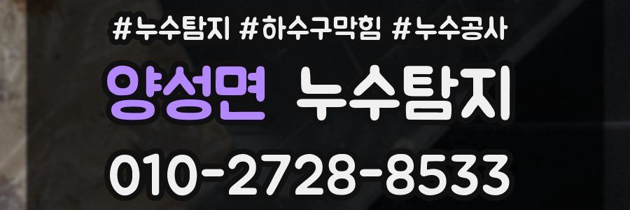 양성면 누수탐지업체