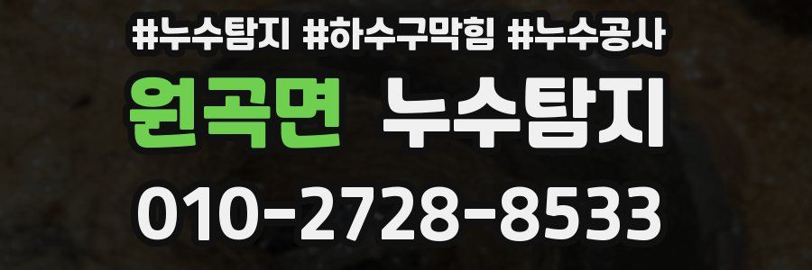 원곡면 누수탐지업체