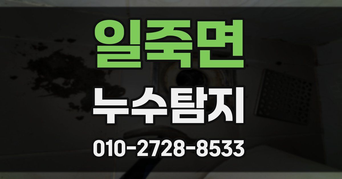 일죽면 누수공사