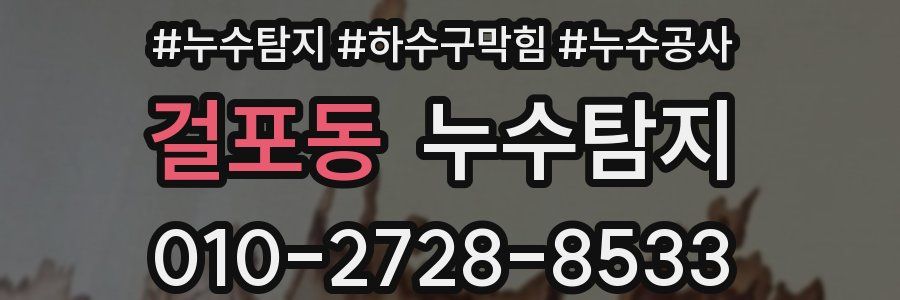 걸포동 누수탐지업체