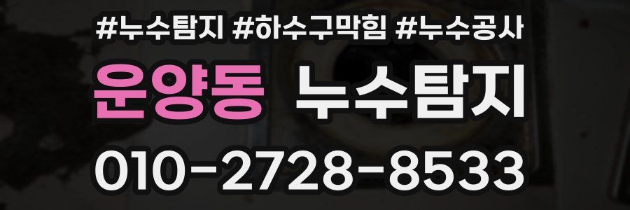 운양동 누수탐지업체