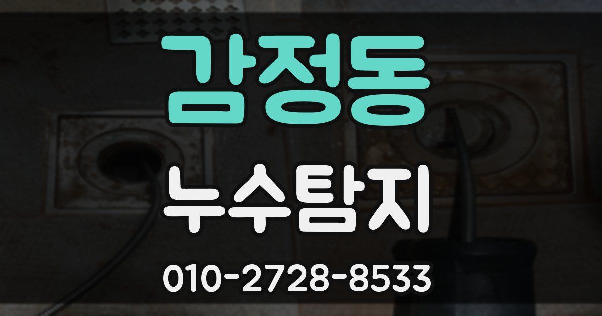 감정동 누수공사