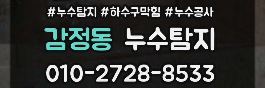 감정동 누수탐지업체