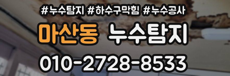 마산동 누수탐지업체