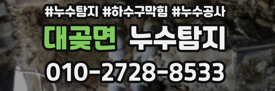 대곶면 누수탐지업체