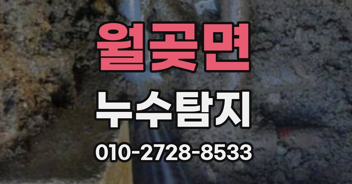월곶면 누수공사