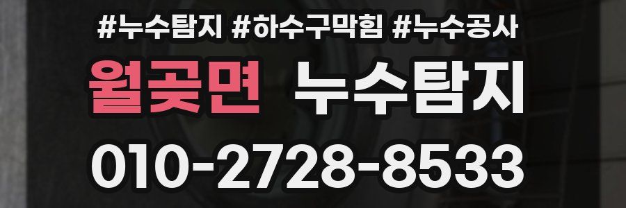 월곶면 누수탐지업체