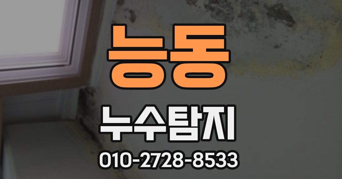 능동 누수공사