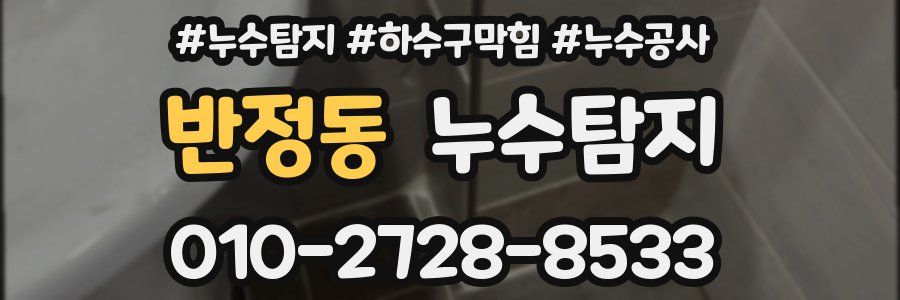 반정동 누수탐지업체