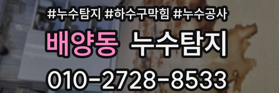 배양동 누수탐지업체