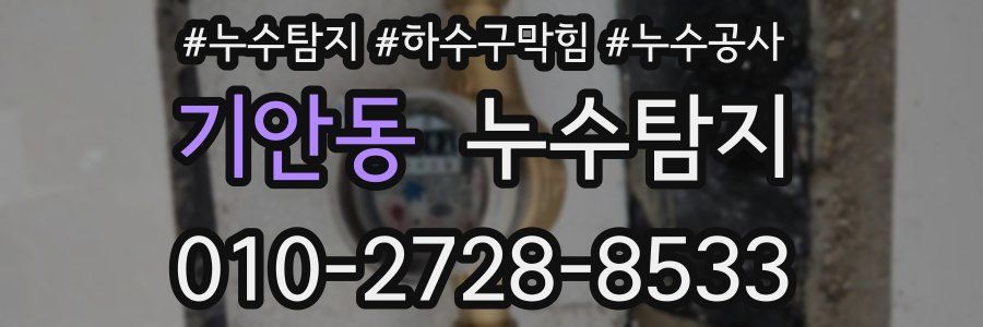 기안동 누수탐지업체