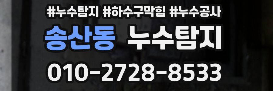 송산동 누수탐지업체