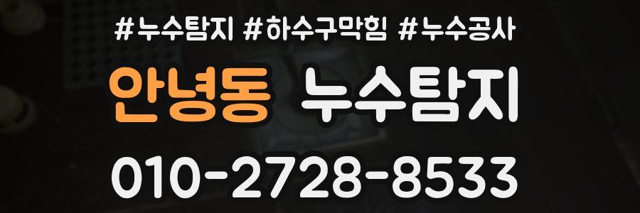 안녕동 누수탐지업체