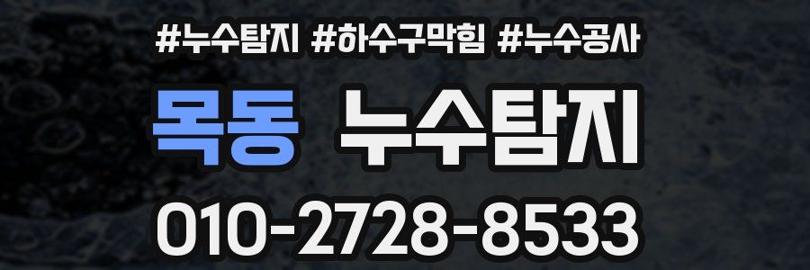 목동 누수탐지업체