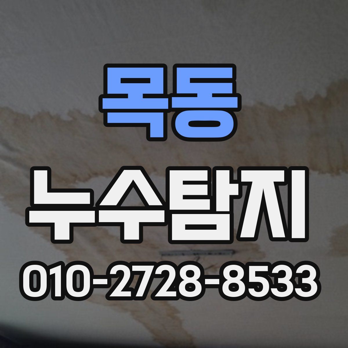 목동 누수탐지