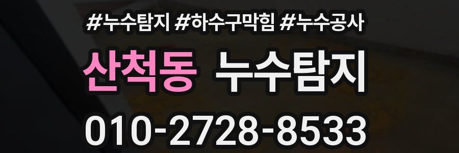 산척동 누수탐지업체