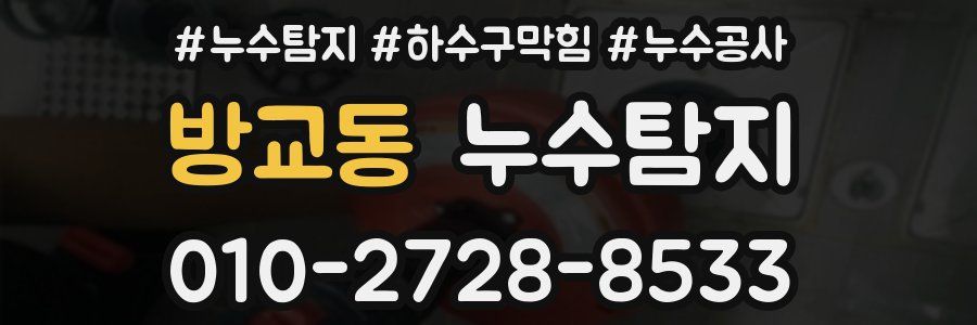 방교동 누수탐지업체