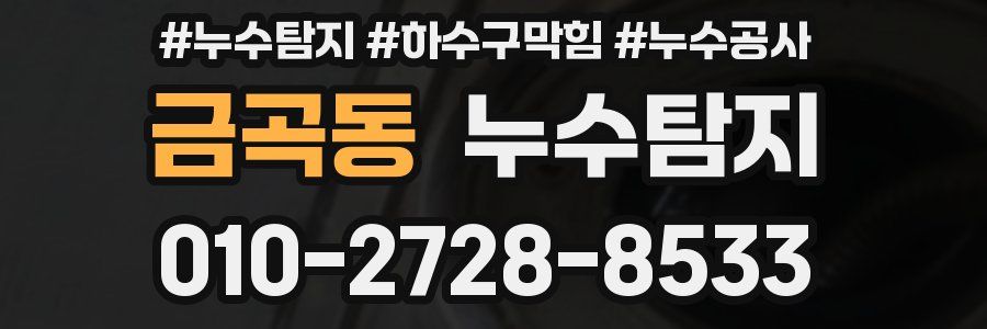 금곡동 누수탐지업체