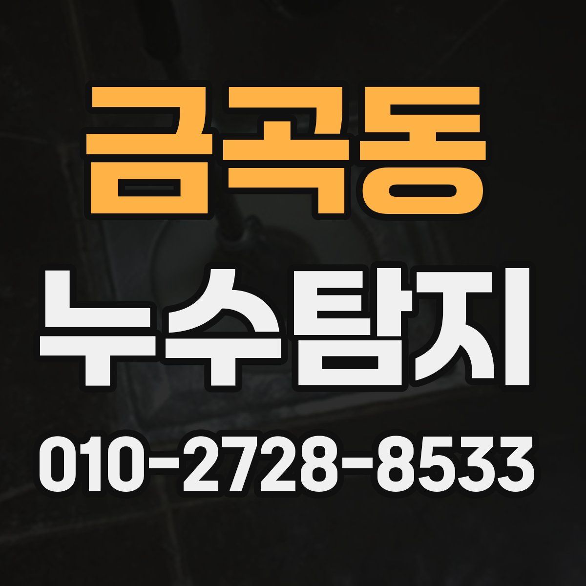 금곡동 누수탐지