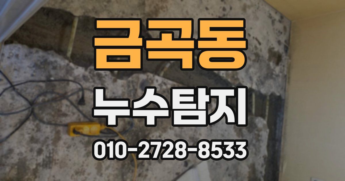 금곡동 누수공사