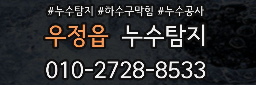 우정읍 누수탐지업체