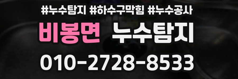 비봉면 누수탐지업체