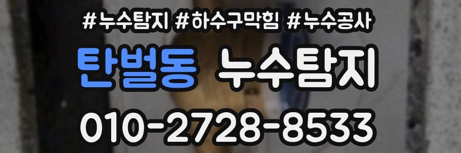 탄벌동 누수탐지업체
