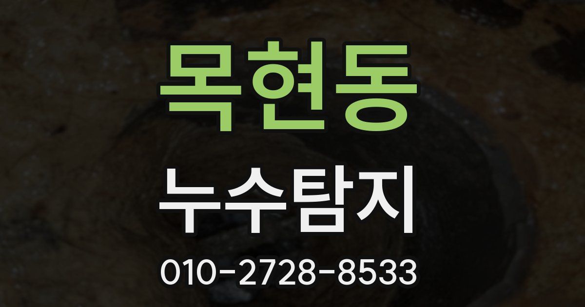 목현동 누수공사