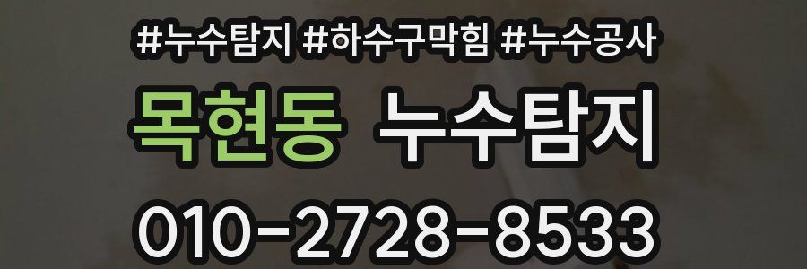 목현동 누수탐지업체