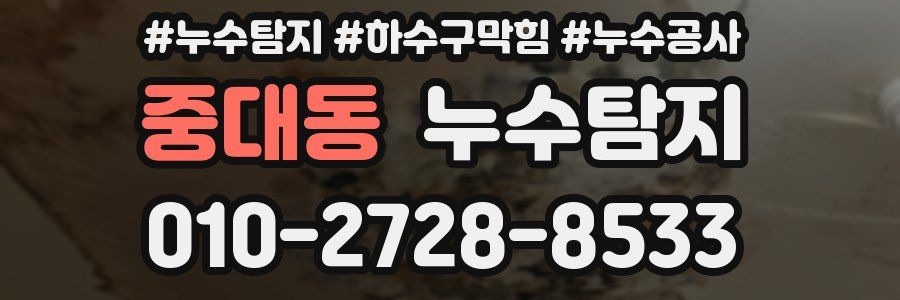중대동 누수탐지업체