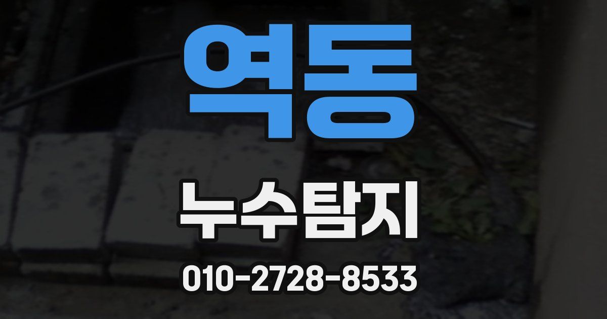 역동 누수공사