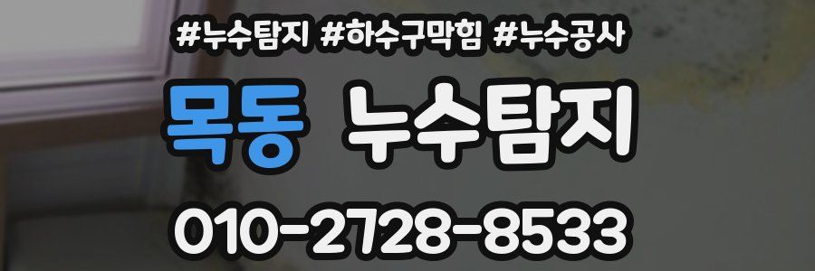 목동 누수탐지업체