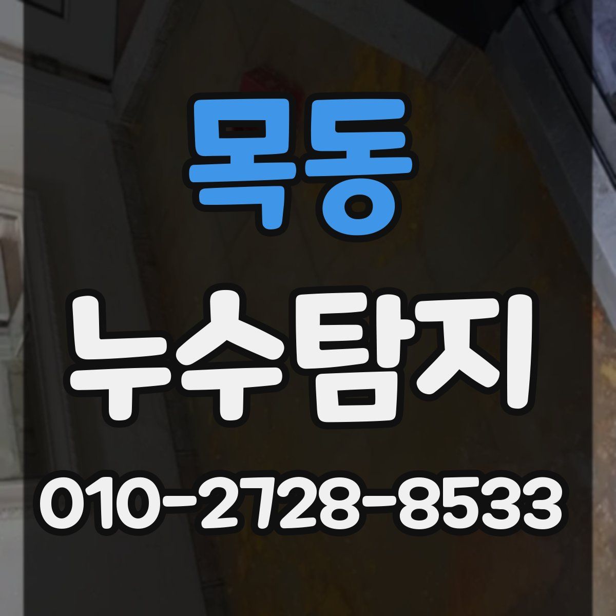 목동 누수탐지