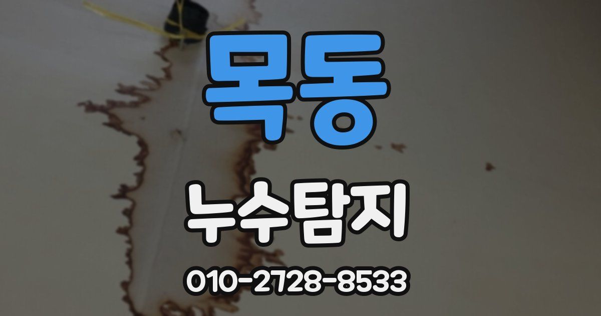 목동 누수공사