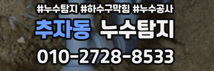 추자동 누수탐지업체