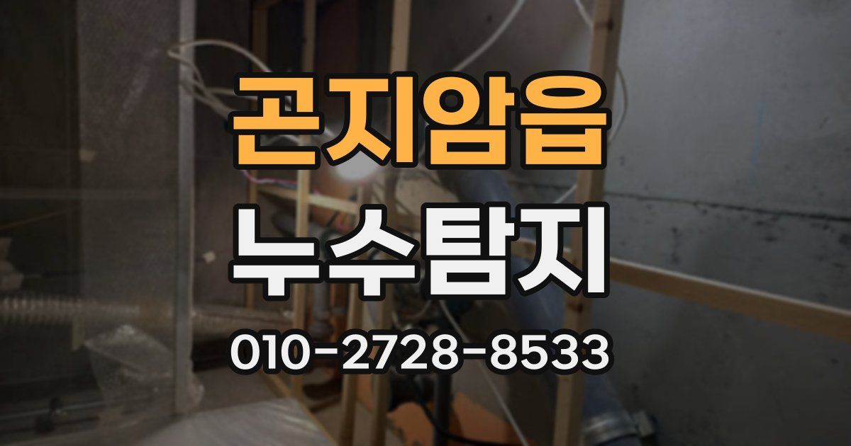 곤지암읍 누수공사