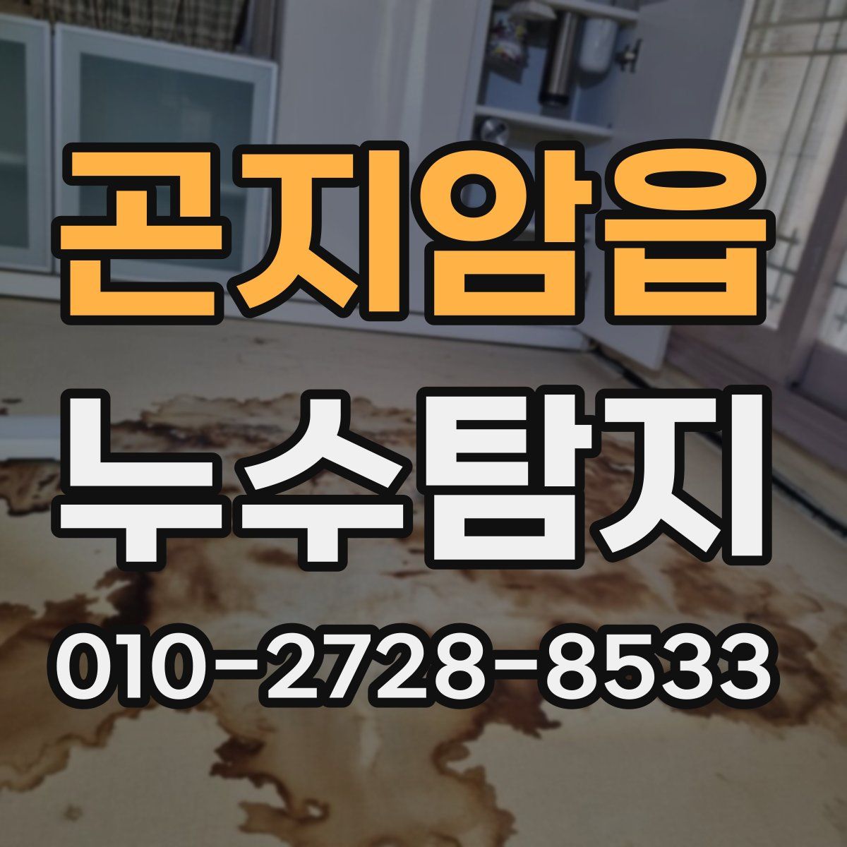 곤지암읍 누수탐지
