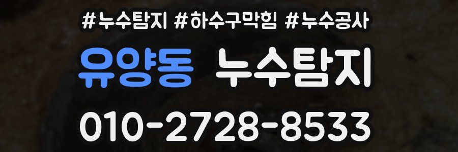 유양동 누수탐지업체