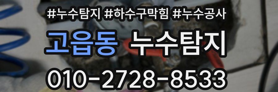 고읍동 누수탐지업체