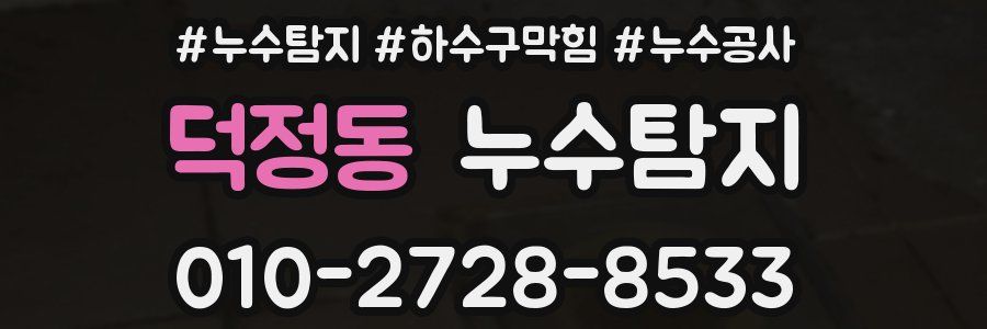 덕정동 누수탐지업체