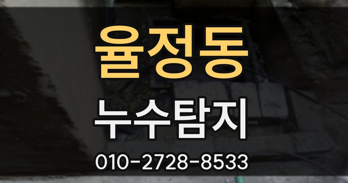 율정동 누수공사