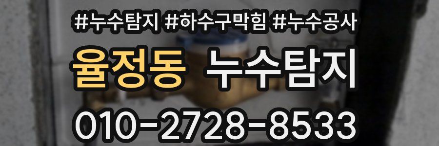 율정동 누수탐지업체