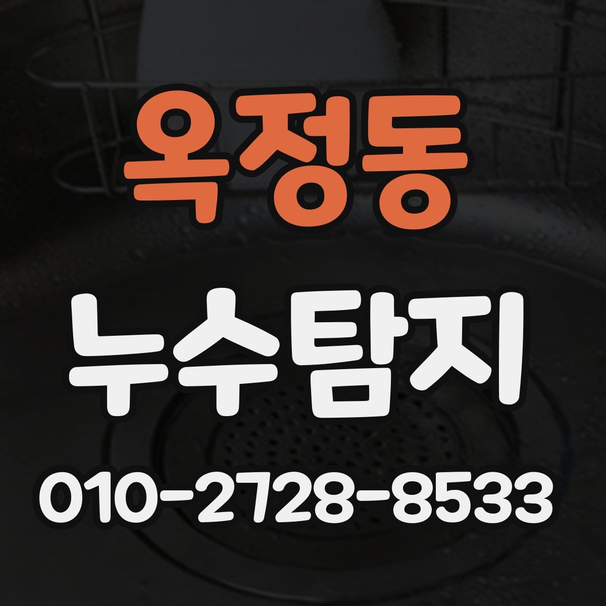 옥정동 누수탐지